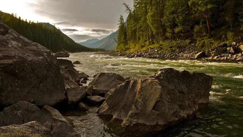 AI Test Generation with Claude & Playwright