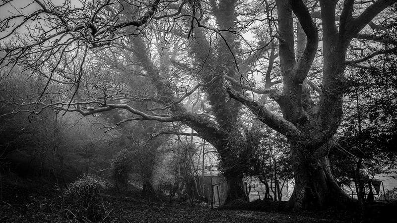 Azure Test Plans Tutorial: Real Project