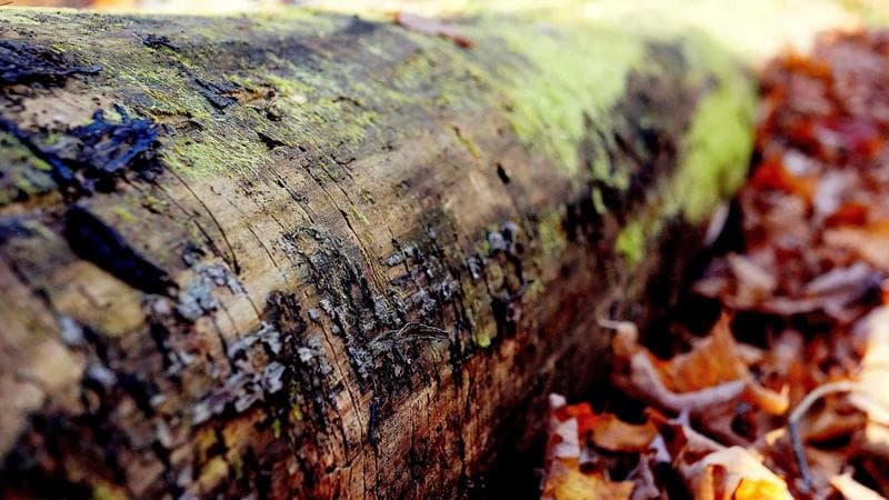 BDD Cucumber + Azure DevOps Integration