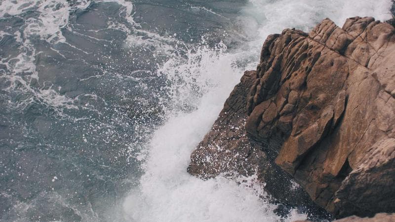 BPA vs RPA vs IDP: Key Differences's the Difference?