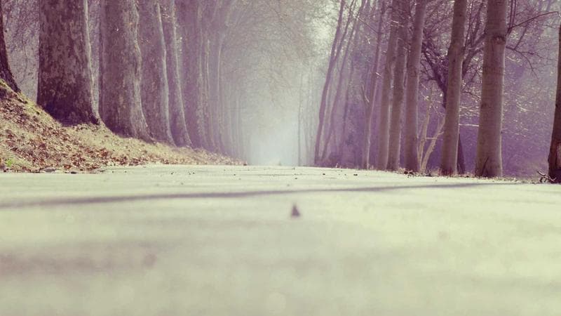 CSV & JSON for Data-Driven Testing