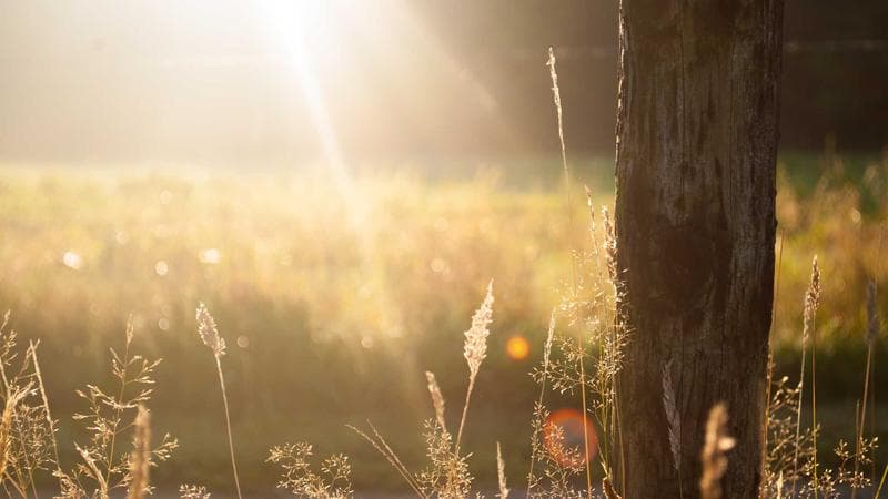 Docker + Azure DevOps Test Environments