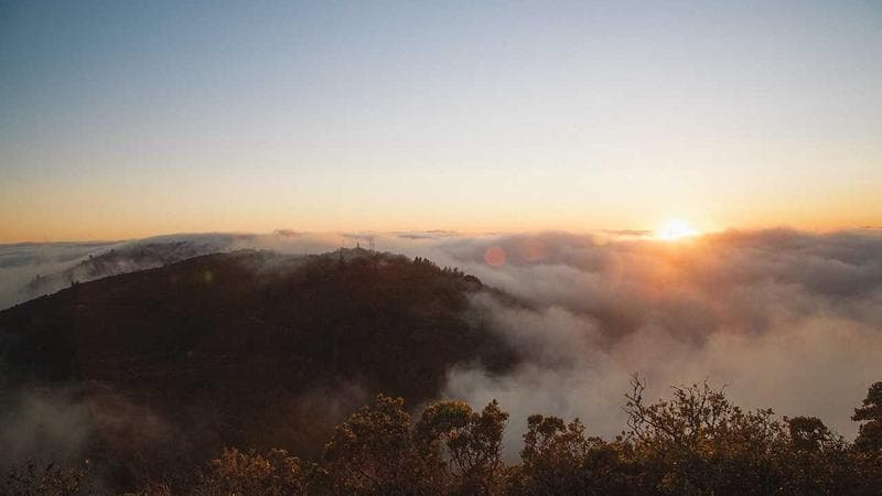 Execute Test Cases in Azure DevOps