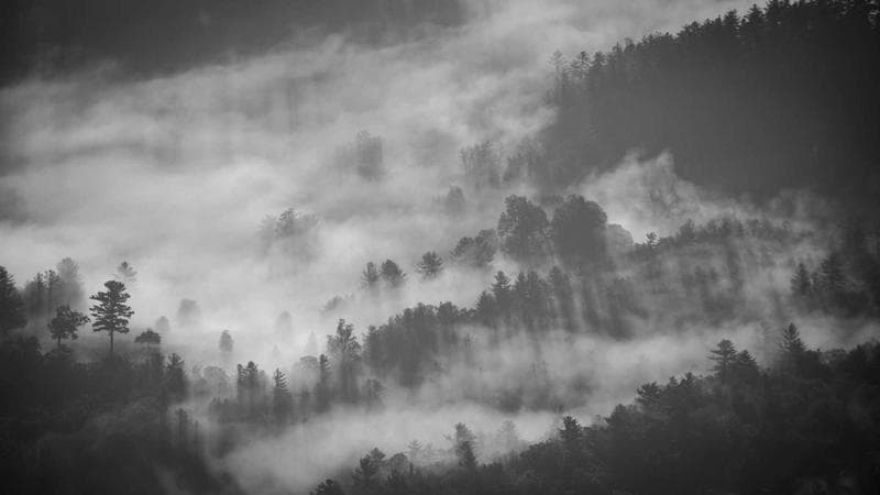 Kanban - Visual Workflow Management for Continuous Delivery