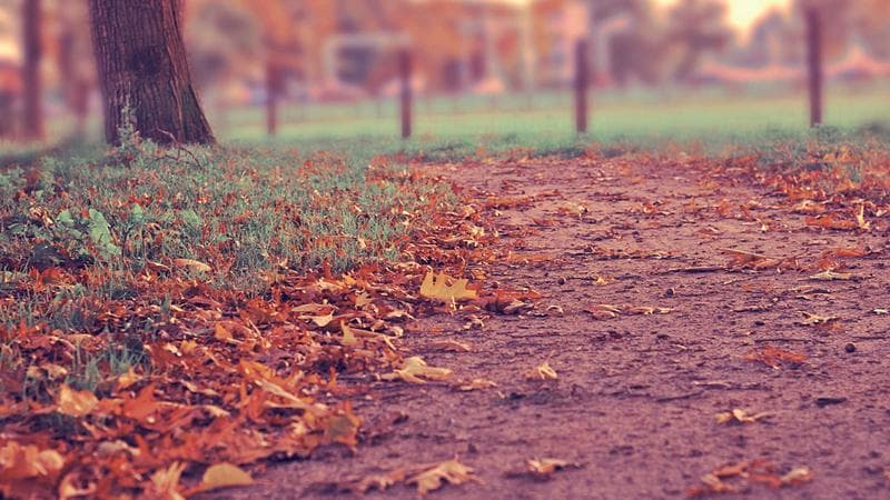 LLM Testing: How to Test AI Applications