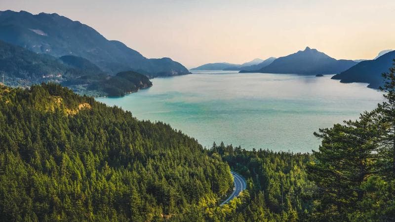 Mobile Test Automation Tools Compared