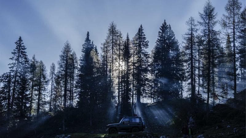 Ultimate Playwright Test Automation Guide