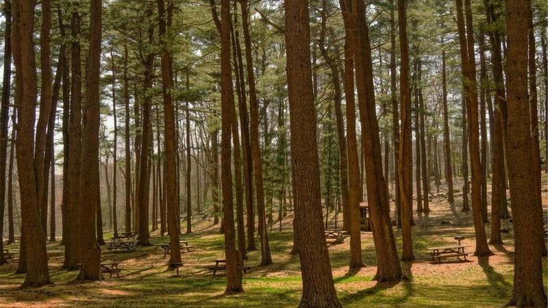 Software Project Management - Planning and Delivering Successful Software Projects