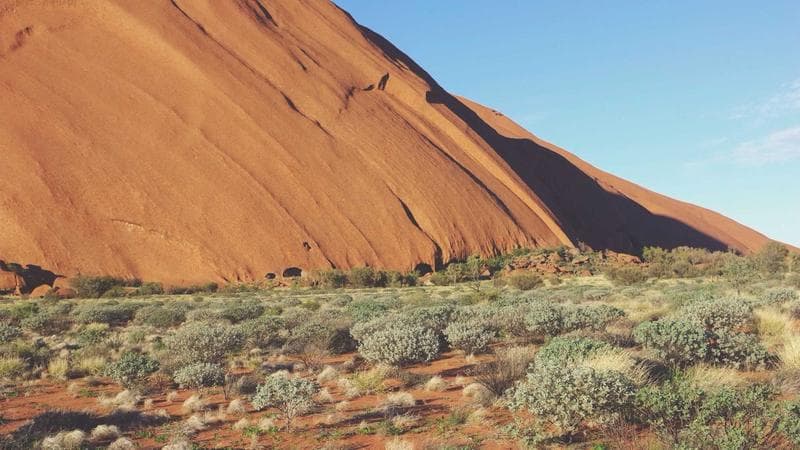 Requirement Traceability in Azure DevOps