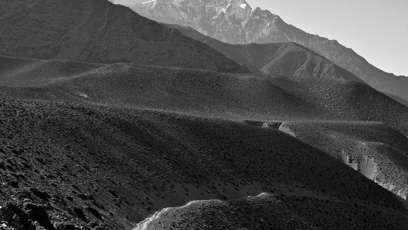 Selenium Framework + Azure DevOps Integration