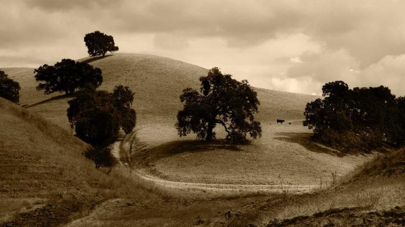 Test Automation Framework Design for DevOps