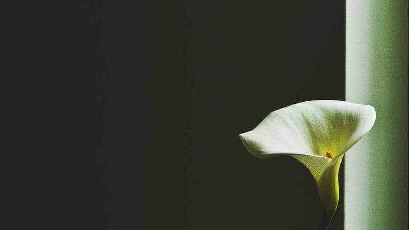 Track Test Coverage & Defect Metrics: DevOps